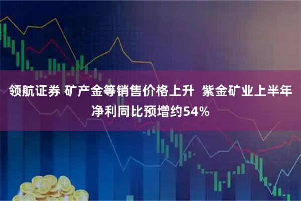 领航证券 矿产金等销售价格上升  紫金矿业上半年净利同比预增约54%